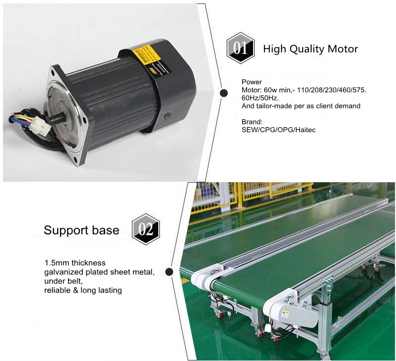 Belt Conveyor Food Grade Modular Belt Conveyor System / Conveying System / Conveying Machine