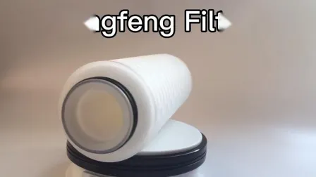 0.45 Micron 10 Inch PTFE/PP/Nylon Filter Cartridge for Pharmaceutical Filtration