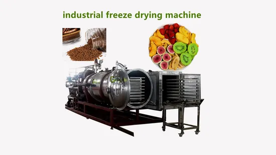Factory Vacuum Lyophilizer Food Freeze Dryer Drier Equipment Fruit and Vegetable Freeze Drying Machine