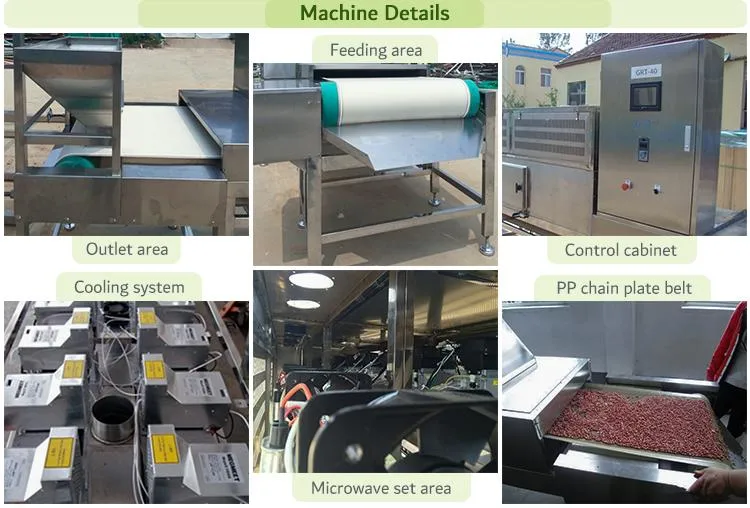 Large Multi-Layer Belt Pepper Dryer Red Chilli Drying Machine Conveying Drying Tunnel Microwave Drying Machine