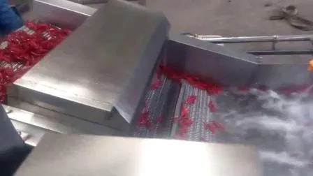 Food Industry Conveying Type Air Bubble Washing Machine Good Quality 