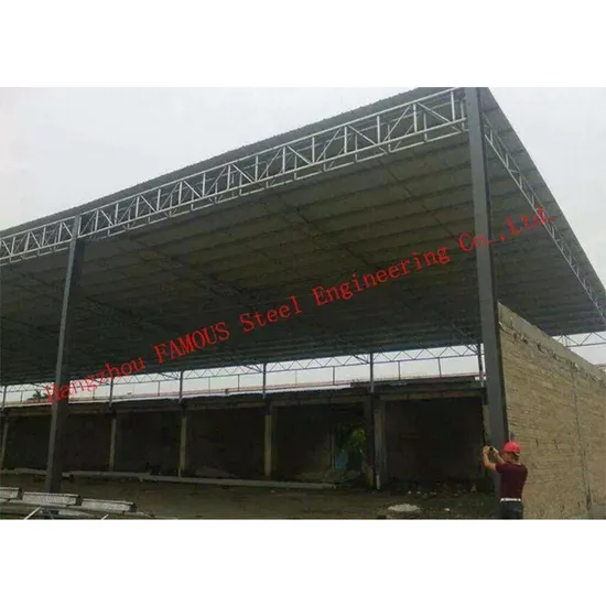 Steel Sandwich Panel Material Poultry Steel Framing Systems for Breeding Chicken 